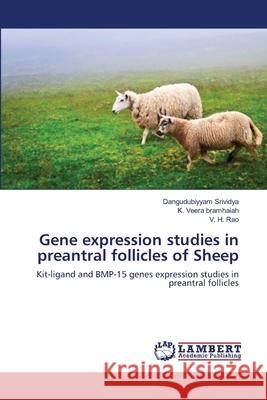 Gene expression studies in preantral follicles of Sheep Dangudubiyyam Srividya, K Veera Bramhaiah, V H Rao 9783659167126 LAP Lambert Academic Publishing
