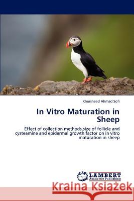 In Vitro Maturation in Sheep Khursheed Ahmad Sofi 9783659176371