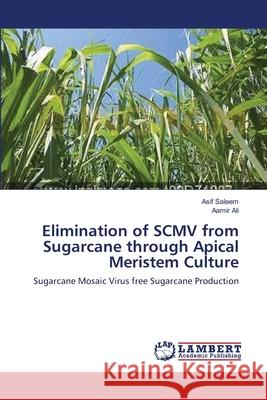 Elimination of SCMV from Sugarcane through Apical Meristem Culture Saleem, Asif 9783659177071 LAP Lambert Academic Publishing