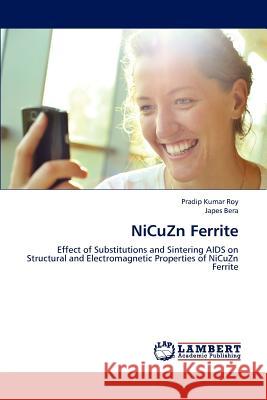 Nicuzn Ferrite Pradip Kumar Roy Japes Bera 9783659180408 LAP Lambert Academic Publishing