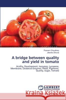 A bridge between quality and yield in tomato Choudhary, Poonam 9783659213038 LAP Lambert Academic Publishing