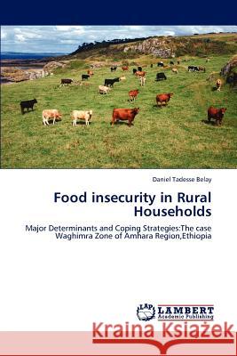Food Insecurity in Rural Households Daniel Tadesse Belay 9783659219535 LAP Lambert Academic Publishing