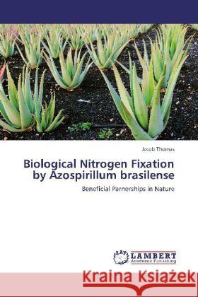 Biological Nitrogen Fixation by Azospirillum brasilense : Beneficial Parnerships in Nature Thomas, Jacob 9783659220890