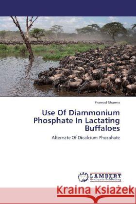 Use Of Diammonium Phosphate In Lactating Buffaloes : Alternate Of Dicalcium Phosphate Sharma, Pramod 9783659238604