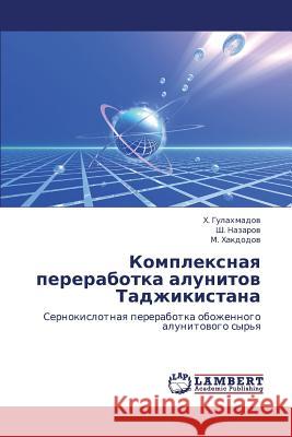 Kompleksnaya Pererabotka Alunitov Tadzhikistana  9783659258800 LAP Lambert Academic Publishing