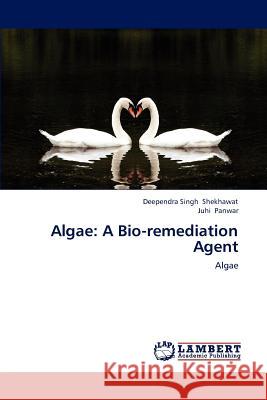 Algae: A Bio-Remediation Agent Shekhawat Deependra Singh, Panwar Juhi 9783659262517