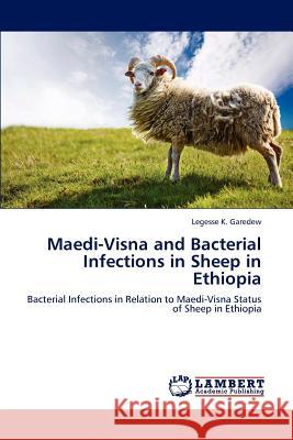 Maedi-Visna and Bacterial Infections in Sheep in Ethiopia  9783659278785 LAP Lambert Academic Publishing