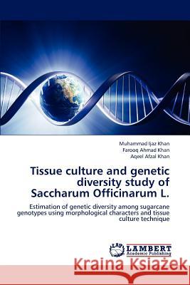 Tissue culture and genetic diversity study of Saccharum Officinarum L. Ijaz Khan Muhammad 9783659293351