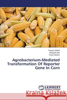 Agrobacterium-Mediated Transformation of Reporter Gene in Corn Ashraf Faryam 9783659307669 LAP Lambert Academic Publishing