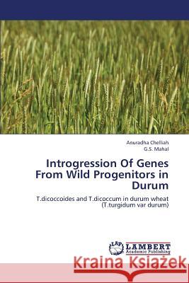 Introgression of Genes from Wild Progenitors in Durum Chelliah Anuradha, Mahal G S 9783659308390