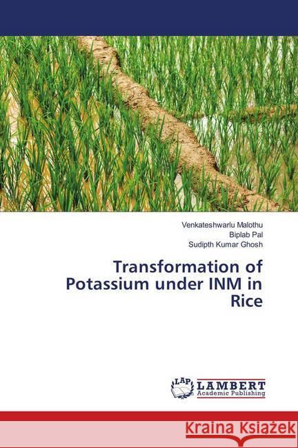 Transformation of Potassium under INM in Rice Malothu, Venkateshwarlu; Pal, Biplab; Ghosh, Sudipth Kumar 9783659334429