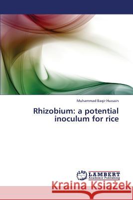 Rhizobium: A Potential Inoculum for Rice Hussain Muhammad Baqir 9783659418457 LAP Lambert Academic Publishing