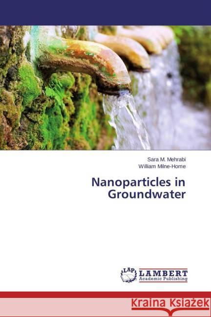 Nanoparticles in Groundwater Mehrabi, Sara M.; Milne-Home, William 9783659432064