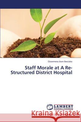 Staff Morale at a Re-Structured District Hospital Ibeziako Ozoemena Joan 9783659432071 LAP Lambert Academic Publishing