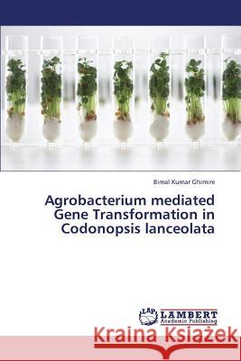 Agrobacterium Mediated Gene Transformation in Codonopsis Lanceolata Ghimire Bimal Kumar 9783659434372