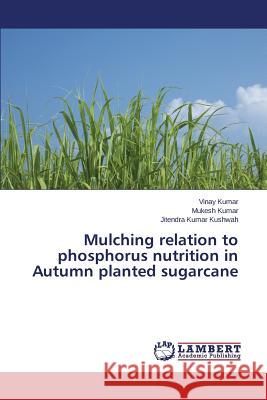 Mulching relation to phosphorus nutrition in Autumn planted sugarcane Kumar Vinay                              Kumar Mukesh                             Kushwah Jitendra Kumar 9783659456718