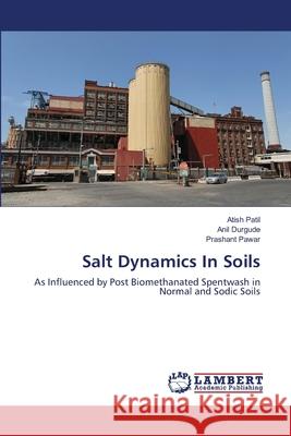 Salt Dynamics In Soils Patil, Atish 9783659484940