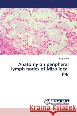 Anatomy on Peripheral Lymph Nodes of Mizo Local Pig Kalita Arup 9783659522840 LAP Lambert Academic Publishing