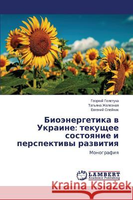Bioenergetika V Ukraine: Tekushchee Sostoyanie I Perspektivy Razvitiya Geletukha Georgiy 9783659529009 LAP Lambert Academic Publishing