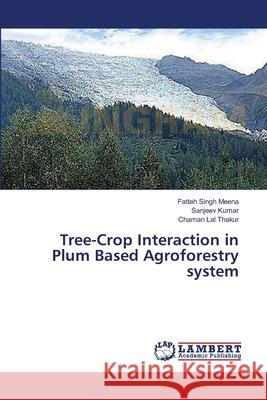 Tree-Crop Interaction in Plum Based Agroforestry system Meena Fatteh Singh                       Kumar Sanjeev                            Thakur Chaman Lal 9783659535215 LAP Lambert Academic Publishing