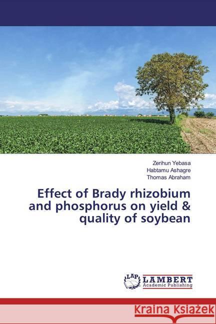 Effect of Brady rhizobium and phosphorus on yield & quality of soybean Yebasa, Zerihun; Ashagre, Habtamu; Abraham, Thomas 9783659550515 LAP Lambert Academic Publishing