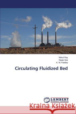 Circulating Fluidized Bed Ray Mukul                                Sen Dipak                                Pandey K. M. 9783659574733 LAP Lambert Academic Publishing