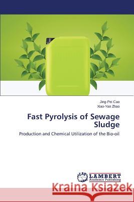 Fast Pyrolysis of Sewage Sludge Cao Jing-Pei 9783659574757