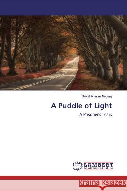 A Puddle of Light : A Prisoner's Tears Nyberg, David Ansgar 9783659574818