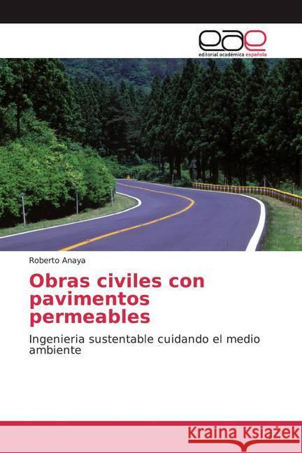Obras civiles con pavimentos permeables : Ingenieria sustentable cuidando el medio ambiente Anaya, Roberto 9783659654909