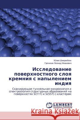 Исследование поверхнос&# Шмермk 9783659683411 LAP Lambert Academic Publishing