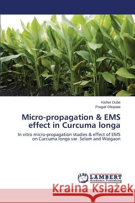 Micro-propagation & EMS effect in Curcuma longa Dube Kishor 9783659699856 LAP Lambert Academic Publishing