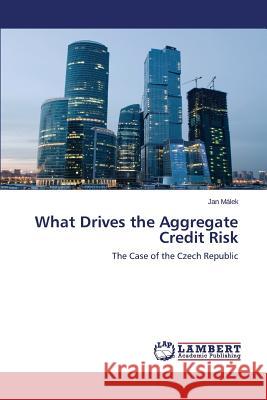 What Drives the Aggregate Credit Risk Málek Jan 9783659747656