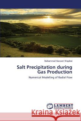 Salt Precipitation during Gas Production Wajahat Muhammad Hassam 9783659754425 LAP Lambert Academic Publishing