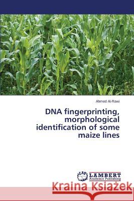 DNA fingerprinting, morphological identification of some maize lines Al-Rawi Ahmed 9783659772856