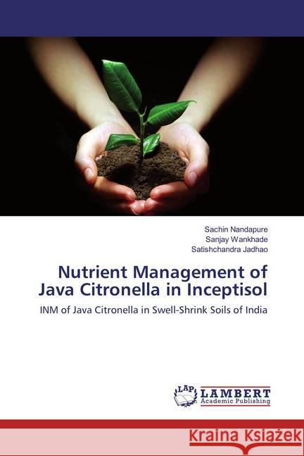 Nutrient Management of Java Citronella in Inceptisol : INM of Java Citronella in Swell-Shrink Soils of India Nandapure, Sachin; Wankhade, Sanjay; Jadhao, Satishchandra 9783659777189 LAP Lambert Academic Publishing