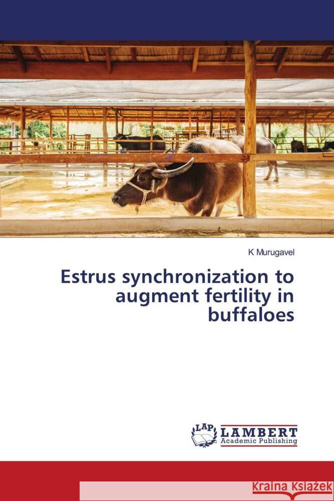 Estrus synchronization to augment fertility in buffaloes MURUGAVEL, K 9783659779176