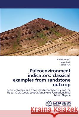 Paleoenvironment indicators: classical examples from sandstone outcrop Sunny C Ezeh, A W Mode, N a Yelwa 9783659820373 LAP Lambert Academic Publishing