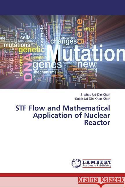 STF Flow and Mathematical Application of Nuclear Reactor Khan, Shahab Ud-Din; Khan, Salah Ud-Din Khan 9783659862168