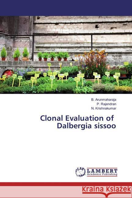 Clonal Evaluation of Dalbergia sissoo Arunmaharaja, B.; Rajendran, P.; Krishnakumar, N. 9783659868726 LAP Lambert Academic Publishing