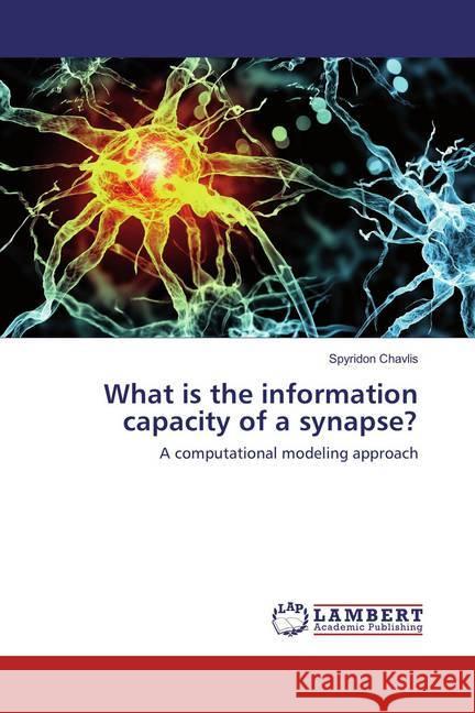 What is the information capacity of a synapse? : A computational modeling approach Chavlis, Spyridon 9783659891137