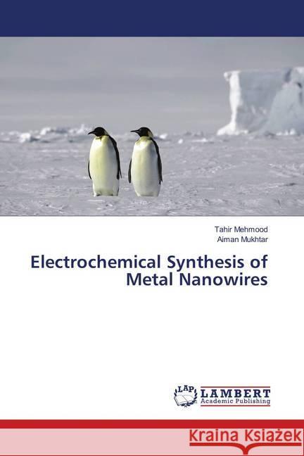 Electrochemical Synthesis of Metal Nanowires Mehmood, Tahir; Mukhtar, Aiman 9783659900563