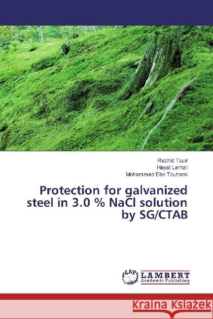 Protection for galvanized steel in 3.0 % NaCl solution by SG/CTAB Touir, Rachid; Larhzil, Hayat; Ebn Touhami, Mohammed 9783659963926