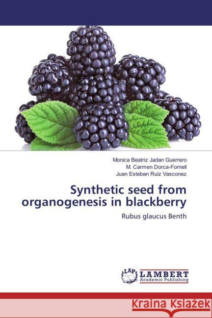 Synthetic seed from organogenesis in blackberry : Rubus glaucus Benth Jadan Guerrero, Monica Beatriz; Dorca-Fornell, M. Carmen; Ruiz Vasconez, Juan Esteban 9783659966705