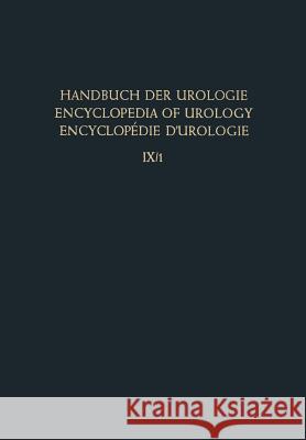 Entzündung I / Inflammation I: Unspezifische Entzündungen / Non-Specific Inflammations / Inflammations Non-Spécifiques Bickel, G. 9783662011249 Springer