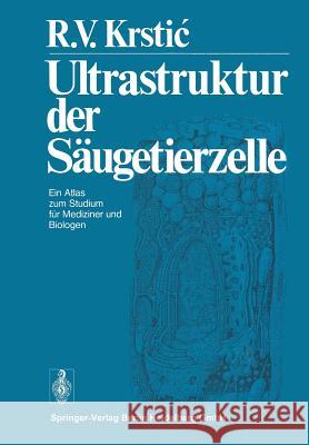 Ultrastruktur Der Säugetierzelle: Ein Atlas Zum Studium Für Mediziner Und Biologen Bargmann, W. 9783662022832 Springer