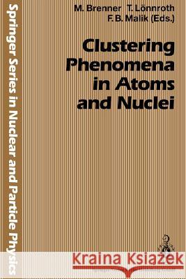 Clustering Phenomena in Atoms and Nuclei: International Conference on Nuclear and Atomic Clusters, 1991, European Physical Society Topical Conference, Brenner, Marten 9783662028292 Springer