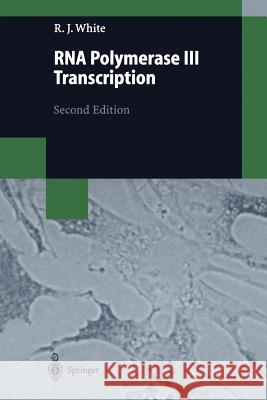 RNA Polymerase III Transcription Robert J. White 9783662035207 Springer