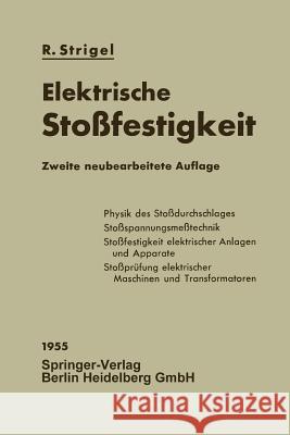 Elektrische Stoßfestigkeit Gunter Helmchen 9783662116401