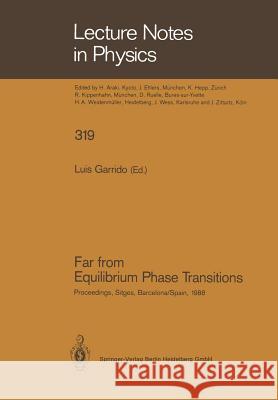 Far from Equilibrium Phase Transitions: Proceedings of the Xth Sitges Conference on Statistical Mechanics, Sitges, Barcelona, Spain, June 6–10, 1988 Luis Garrido 9783662136904
