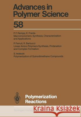 Polymerization Reactions R. Barbucci P. Ferruti E. Franta 9783662152430 Springer